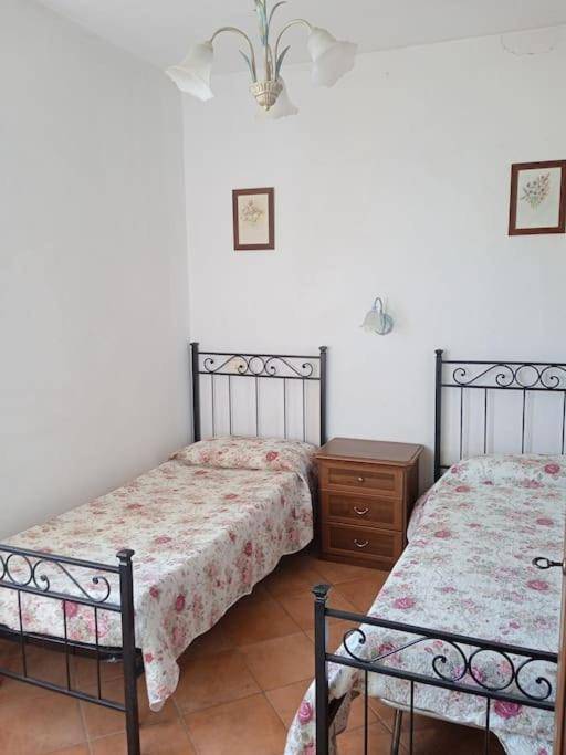 Casa Vacanze Il Pero Marsiliana Ngoại thất bức ảnh
